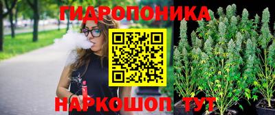 индика Северобайкальск