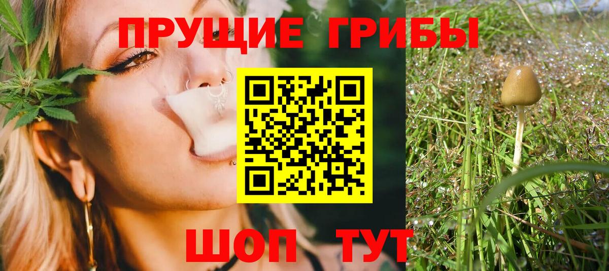 Галлюциногенные грибы Psilocybine cubensis  Вход с VPN  Сарапул 