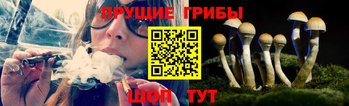 Галлюциногенные грибы Cubensis Сарапул