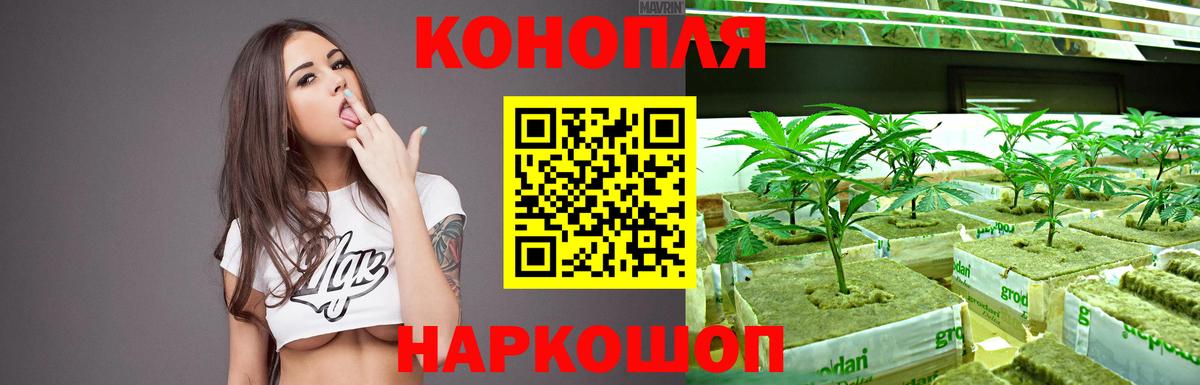Сарапул  Марихуана THC 21%  Каннабис AK-47  Канабис семена  Вход с VPN 